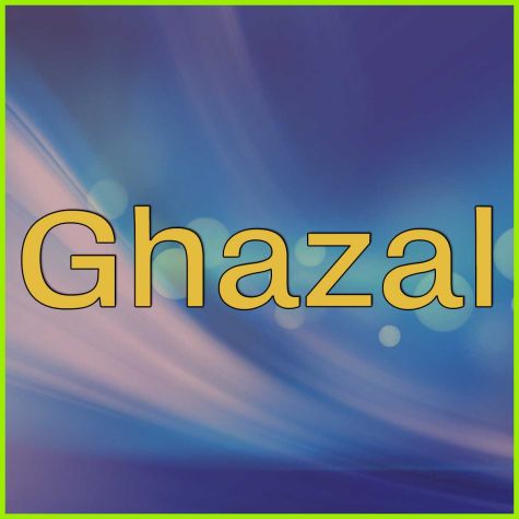 Hindi Ghazal Karaoke Tracks Download Ghazal Karaoke With Lyrics Mp3 Download Mehdi hasan sahab song karaoke track with lyrics movie: hindi ghazal karaoke tracks download