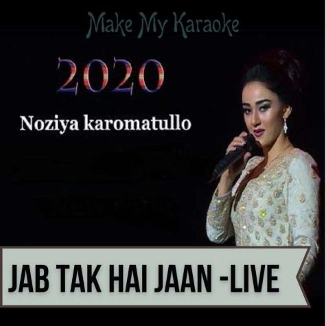 Hindi Karaoke Songs With Lyrics Old Hindi Karaoke My every karaoke will be fix at original pitch. hindi karaoke songs with lyrics old