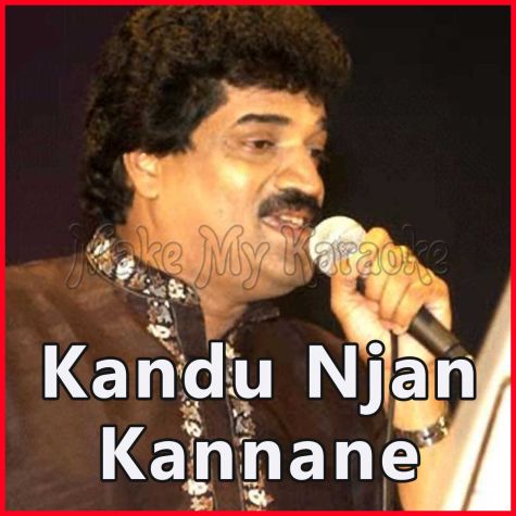 Malayalam Kandu Njan Kannane Aaromal kannane — swetha mohan. make my karaoke